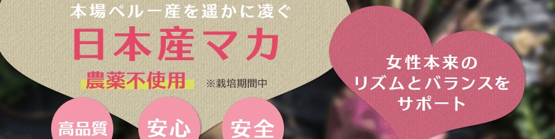 ���E���̍��Y�y�f�}�J�T�v�����T�C�g